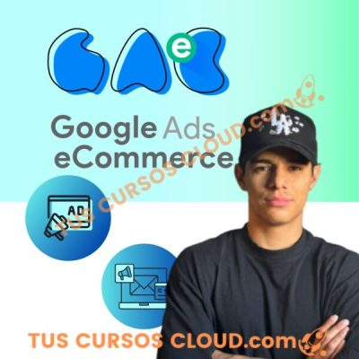 google ads ecommerce alan valdez 67859b7e04839