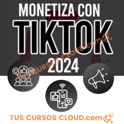 viraliza y monetiza con tiktok 2024 2025 david vilchez 67859d87c4387