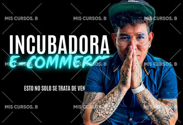 incubadora e commerce de fabian hernandez 6820412eee6ba