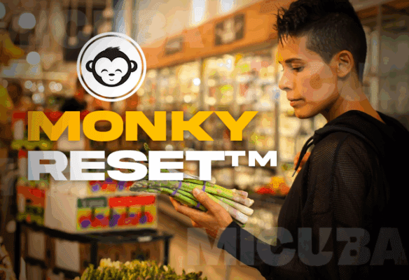 monkyreset transformacion integral 68203f78a7c12