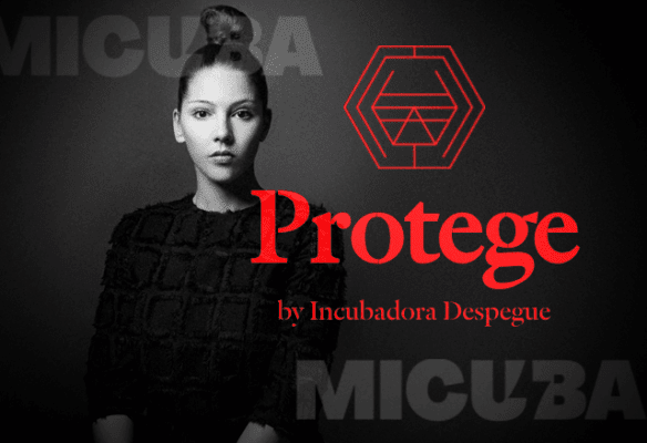 programa de certificaciones protege de incubadora despegue 68203eaa4e0d2