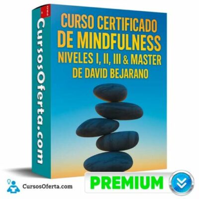 curso certificado de midfulness niveles i ii iii master de david bejarano 692c0b21f1fb6