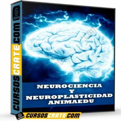 neurociencia y neuroplasticidad de animaedu 698af1d333c9c