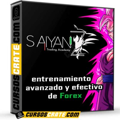 saiyanz academy trading de saiyanz academy 6980099da4546